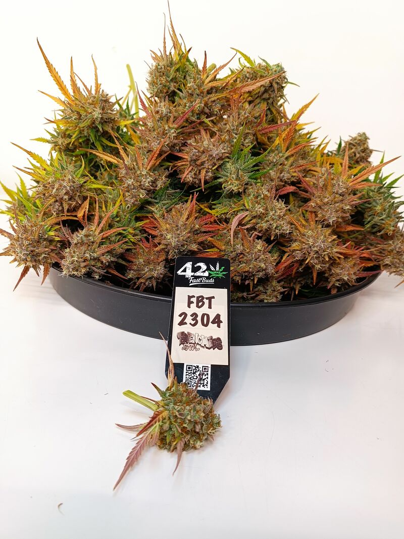 Pound Cake Auto, Фасовка: 1, изображение 26